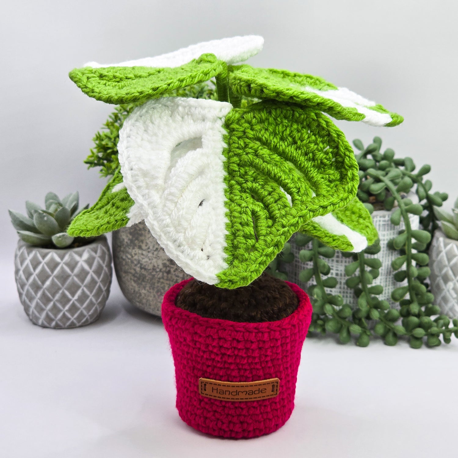 Mini Monstera Albo Variegated Crochet Potted Plant, 2 colours avail