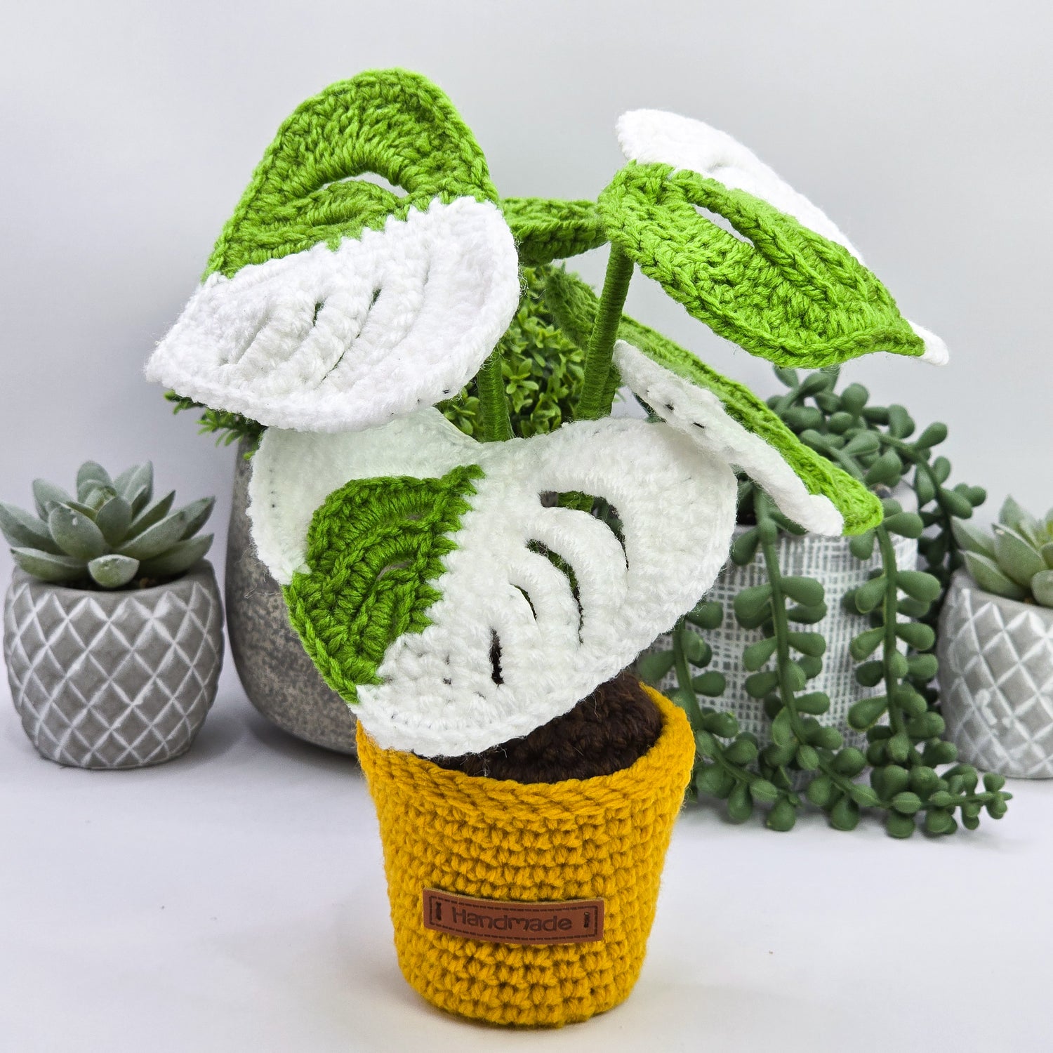 Mini Monstera Albo Variegated Crochet Potted Plant, 2 colours avail