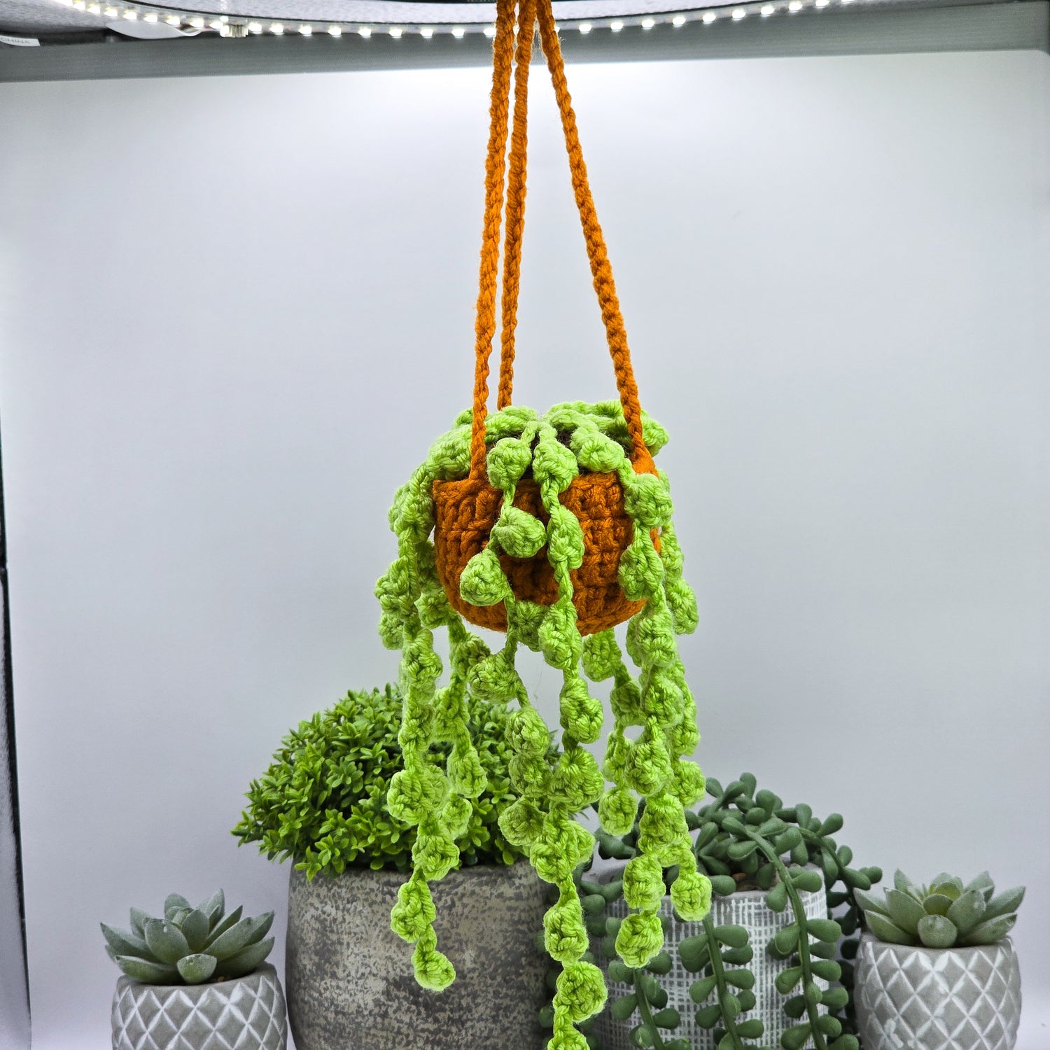 Mini String of Pearls Crochet Potted Hanging Plant