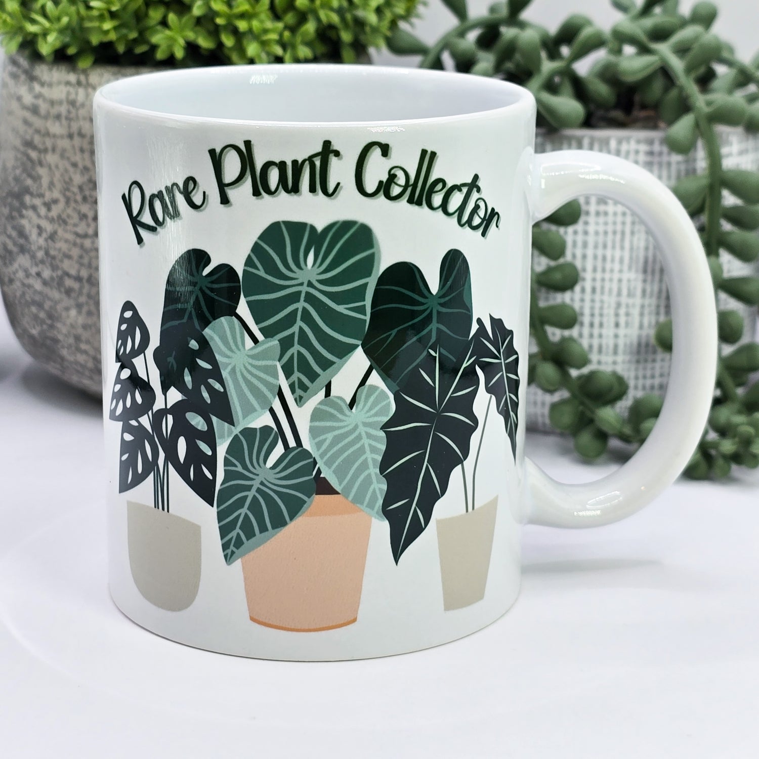 Rare Plant Collector Potted Plant trio 11oz Ceramic Mug
