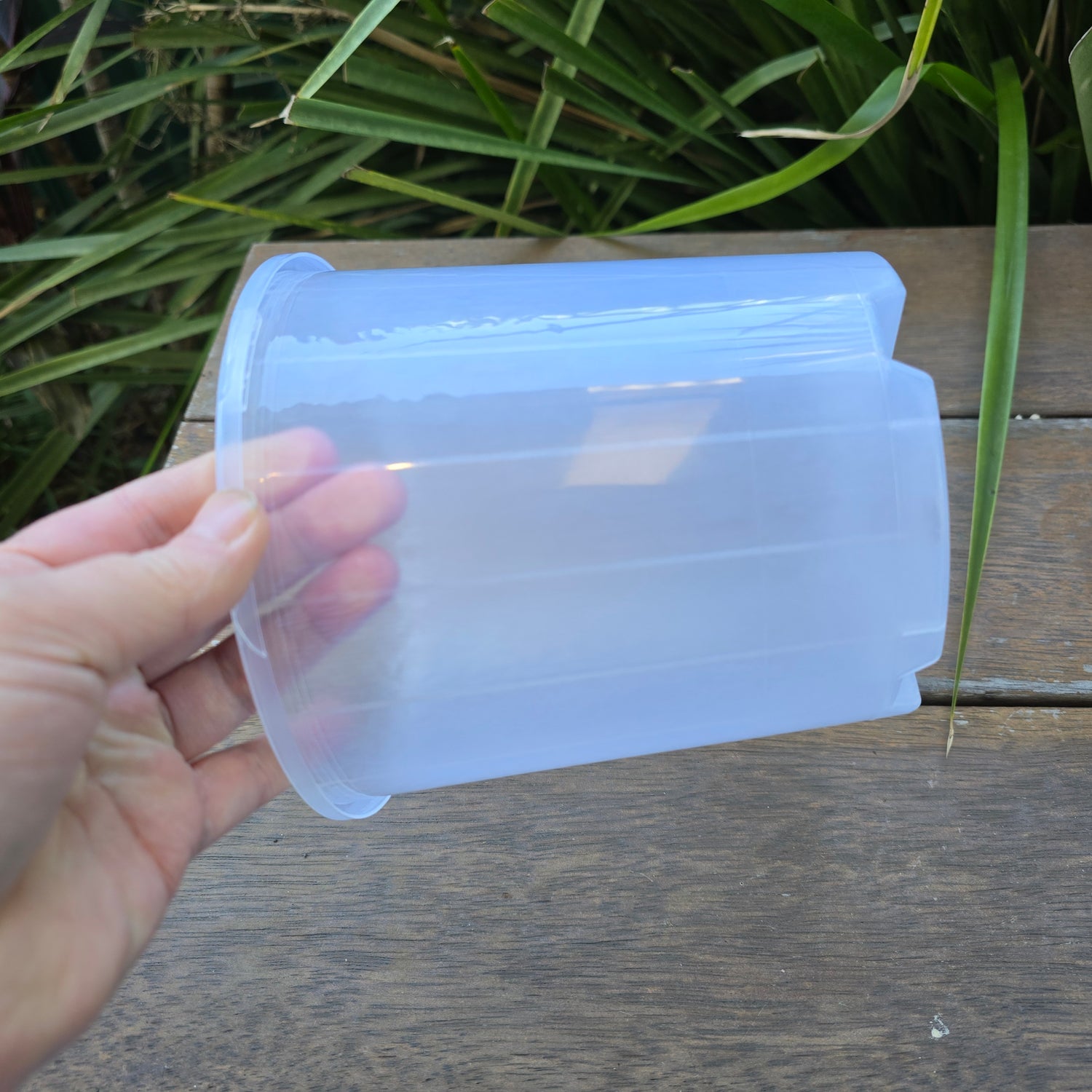 🌿NEW SIZE🌿150mm Clear Plastic Plant Pot