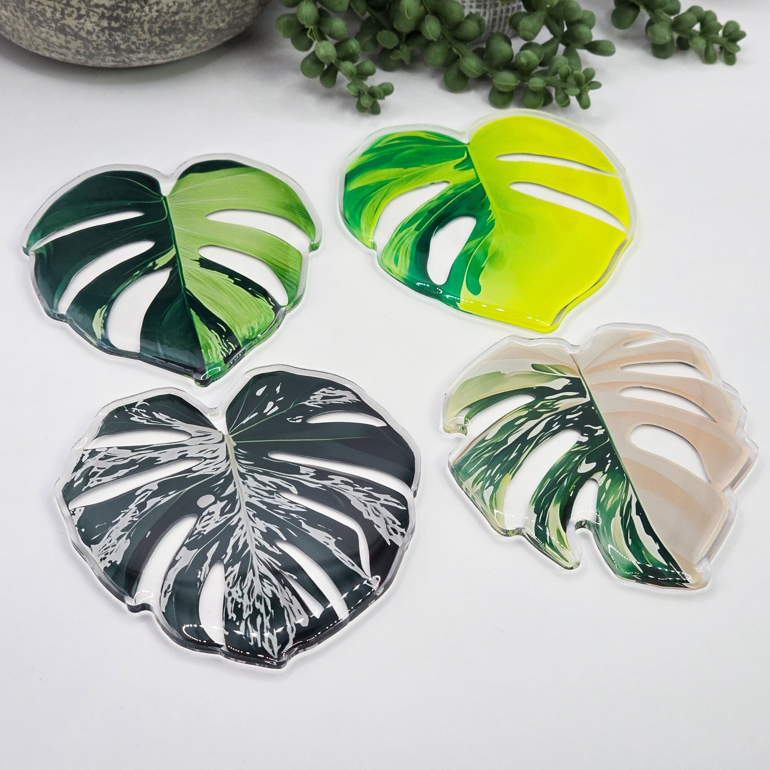 ⭐️NEW⭐️ Extra Large Rare Houseplant Leaf Refrigerator Magnets,11 to choose from