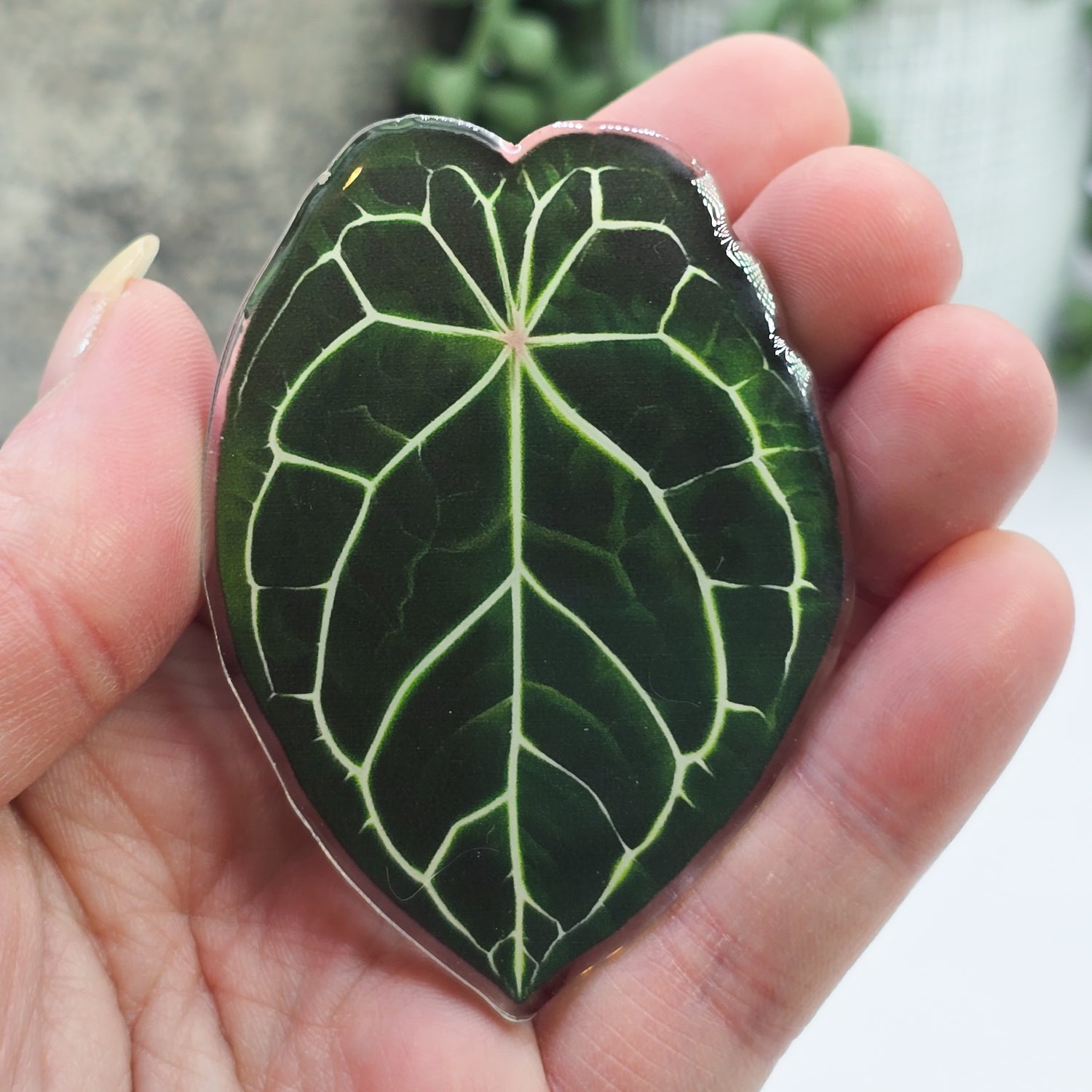 Anthurium Leaf 