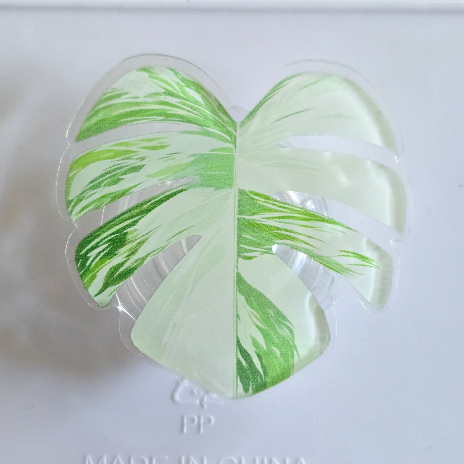 Monstera Borsigiana albo Variegated Leaf Mobile Phone Grip