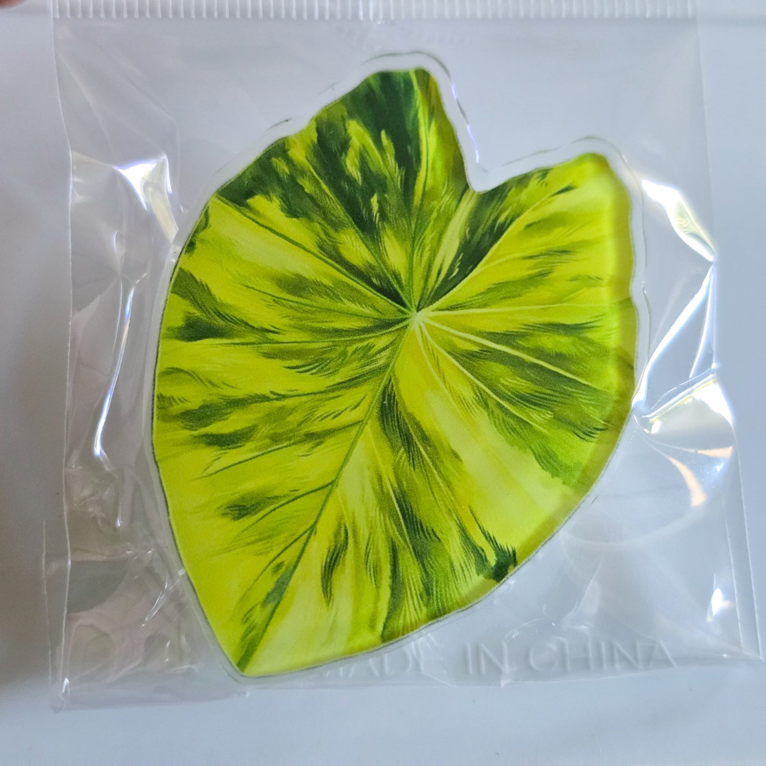 Alocasia Aurea Variegated Leaf Mobile Phone Grip