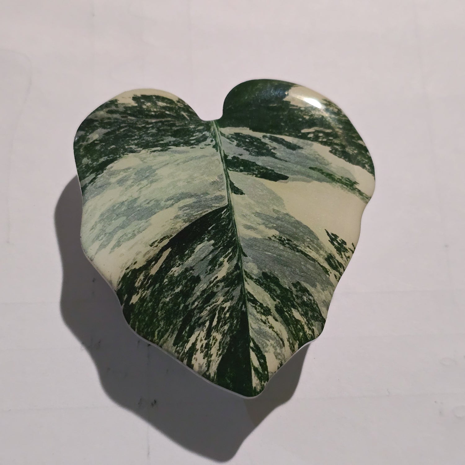 Monstera Marble Variegated Mobile Phone Grip