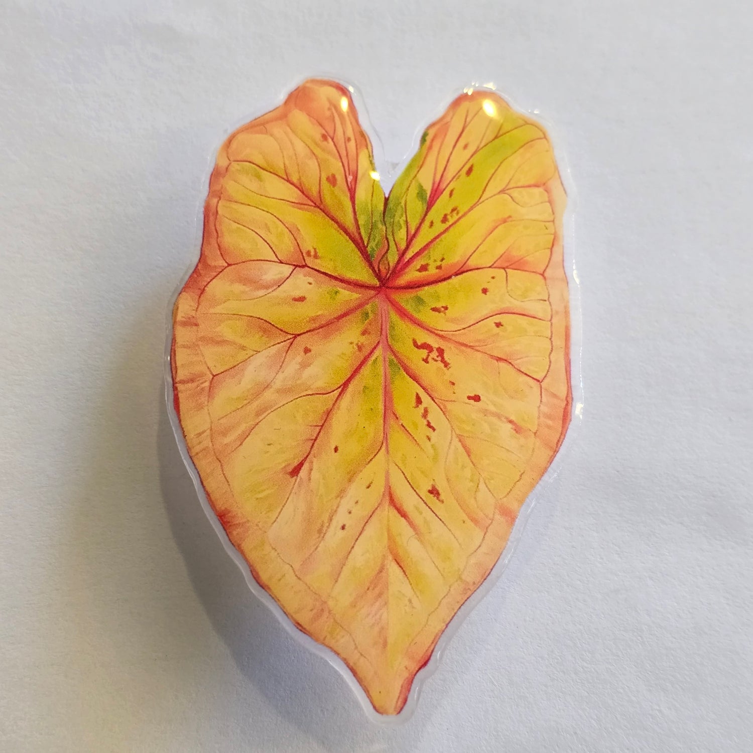 Orange Caladium Mobile Phone Grip / holder