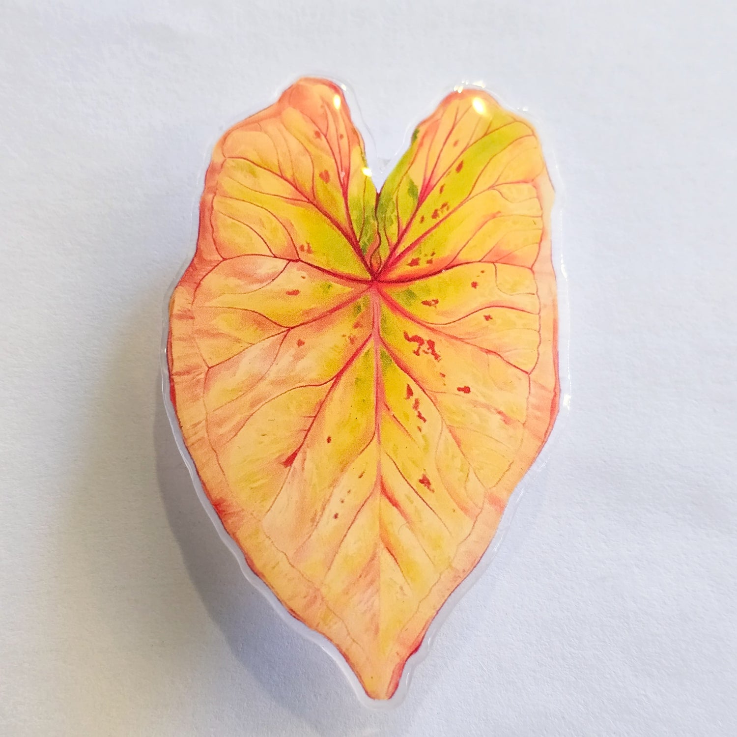 Orange Caladium Mobile Phone Grip / holder