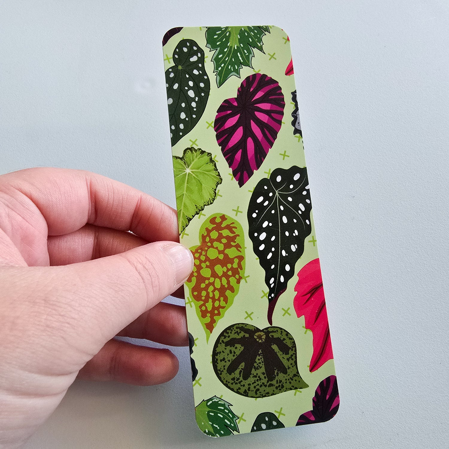 Beautiful Begonias Gloss Houseplants Bookmark