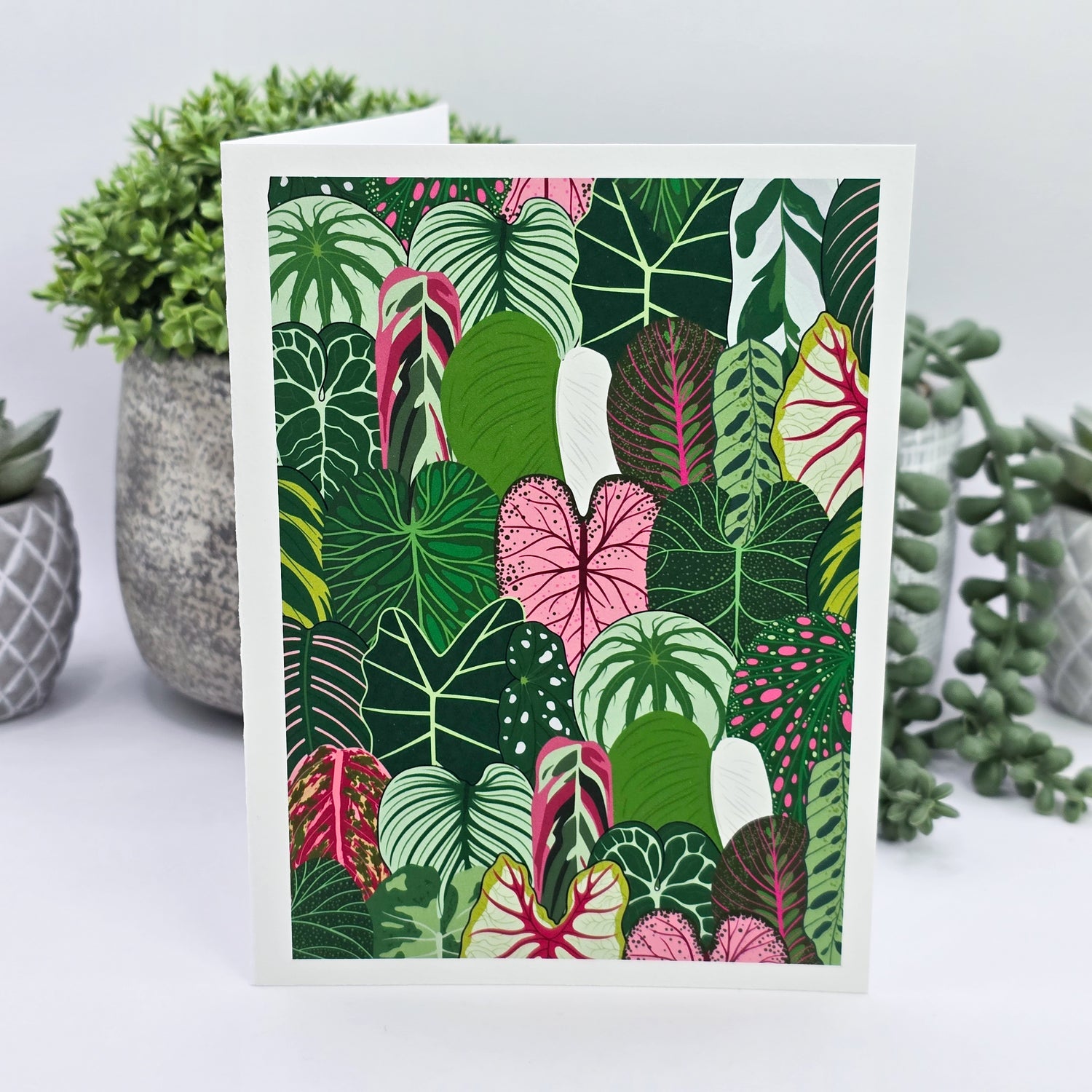'All the Aroids' Houseplant Leaves Blank Greeting Card