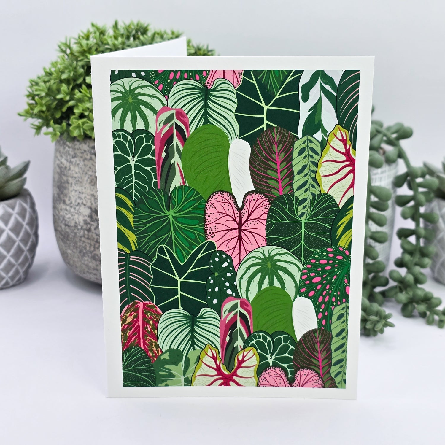 'All the Aroids' Houseplant Leaves Blank Greeting Card