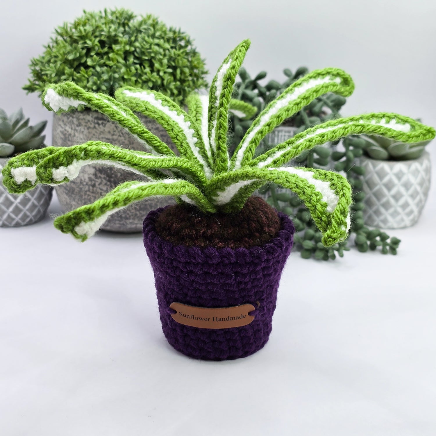 Mini Crochet Potted Spiderplant, Dark Purple or Black Pot