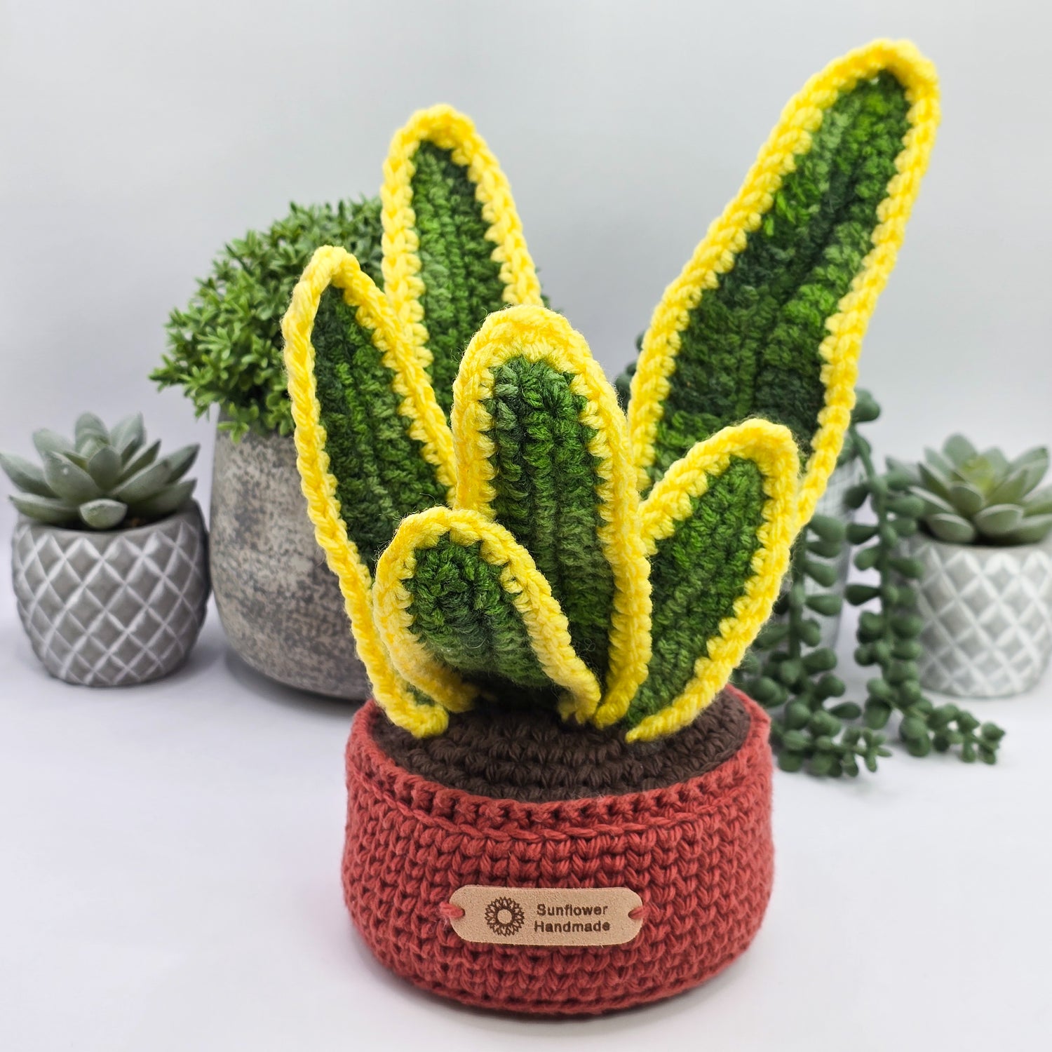 Mini Crochet Sansevieria Snake Plant With Coloured Pot
