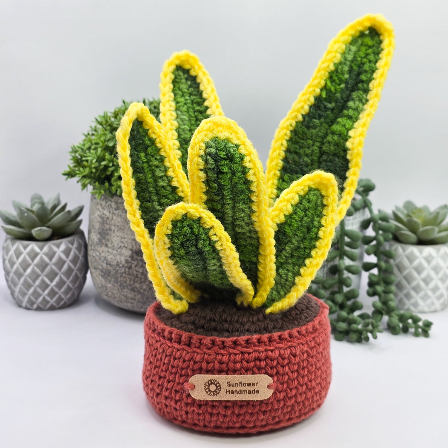 Mini Crochet Sansevieria Snake Plant With Coloured Pot