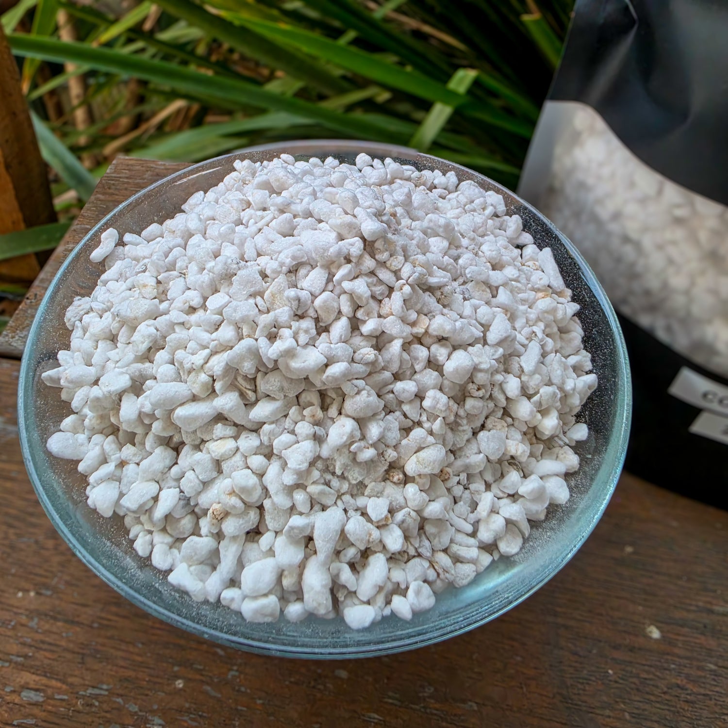 COARSE Grade 4mm-6mm Perlite 2.5L Bag | For Semi Hydro, Propagation & Soil Mixes