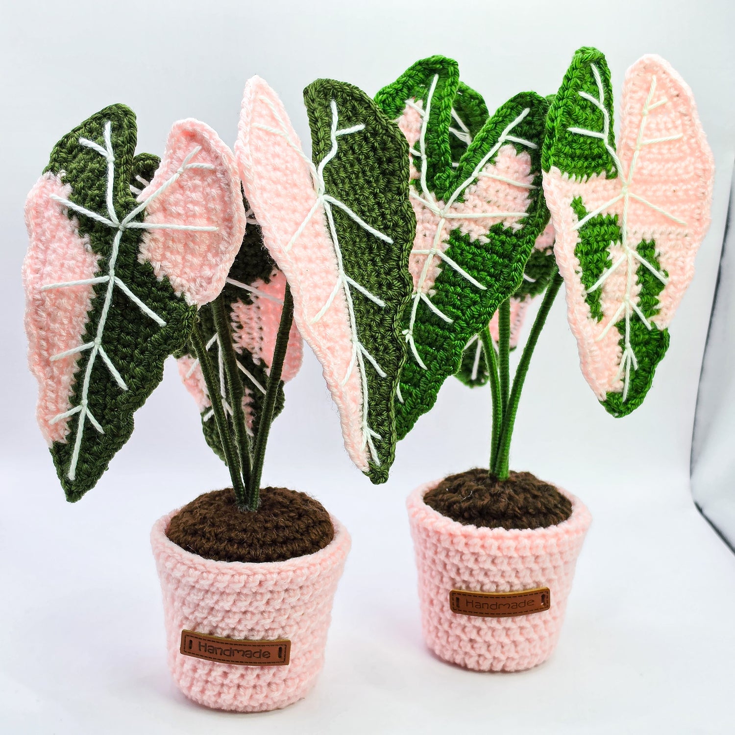 *NEW* Mini Alocasia Amazonica Pink Variegated Crochet Plant