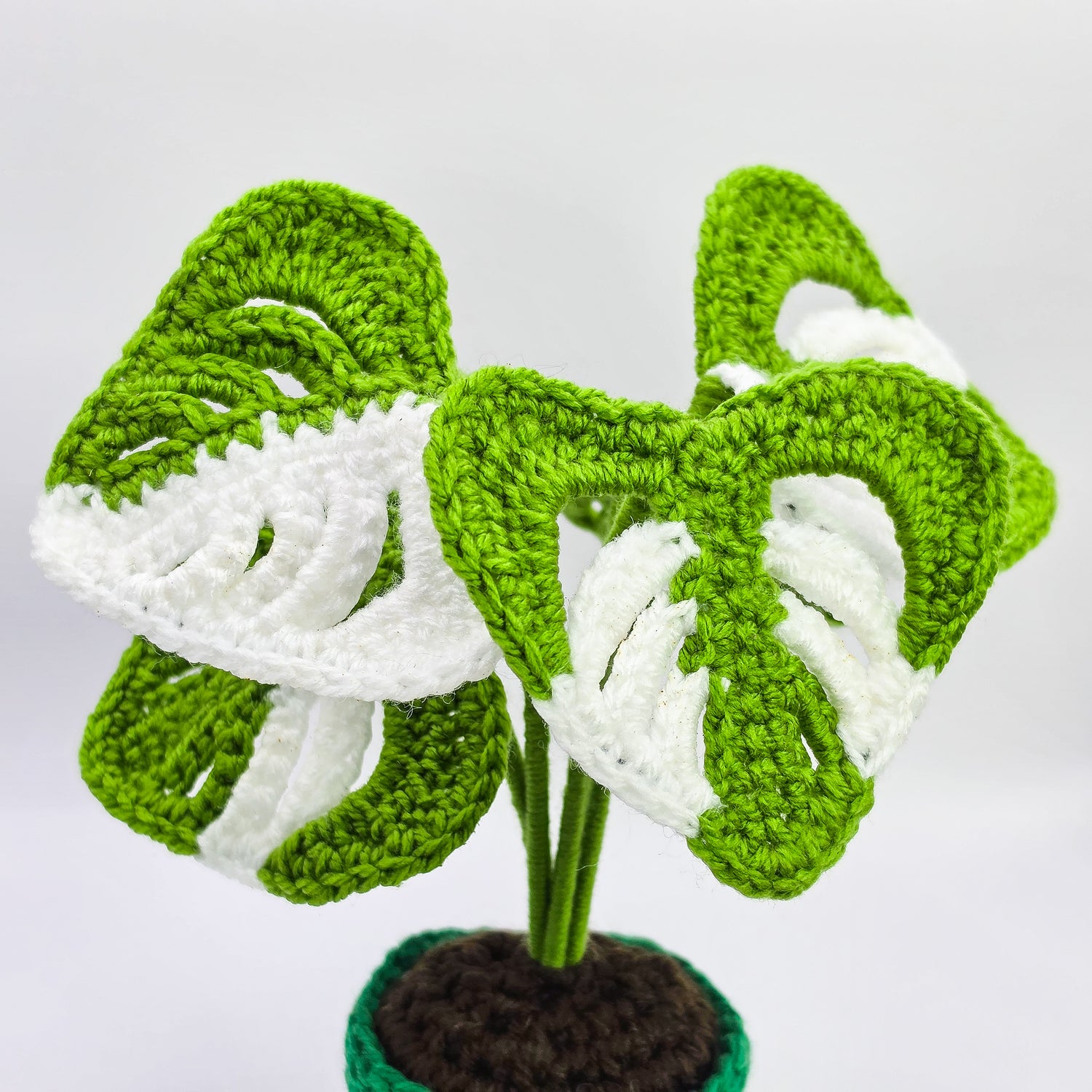 Mini Monstera Albo Variegated Crochet Potted Plant,4 colours avail