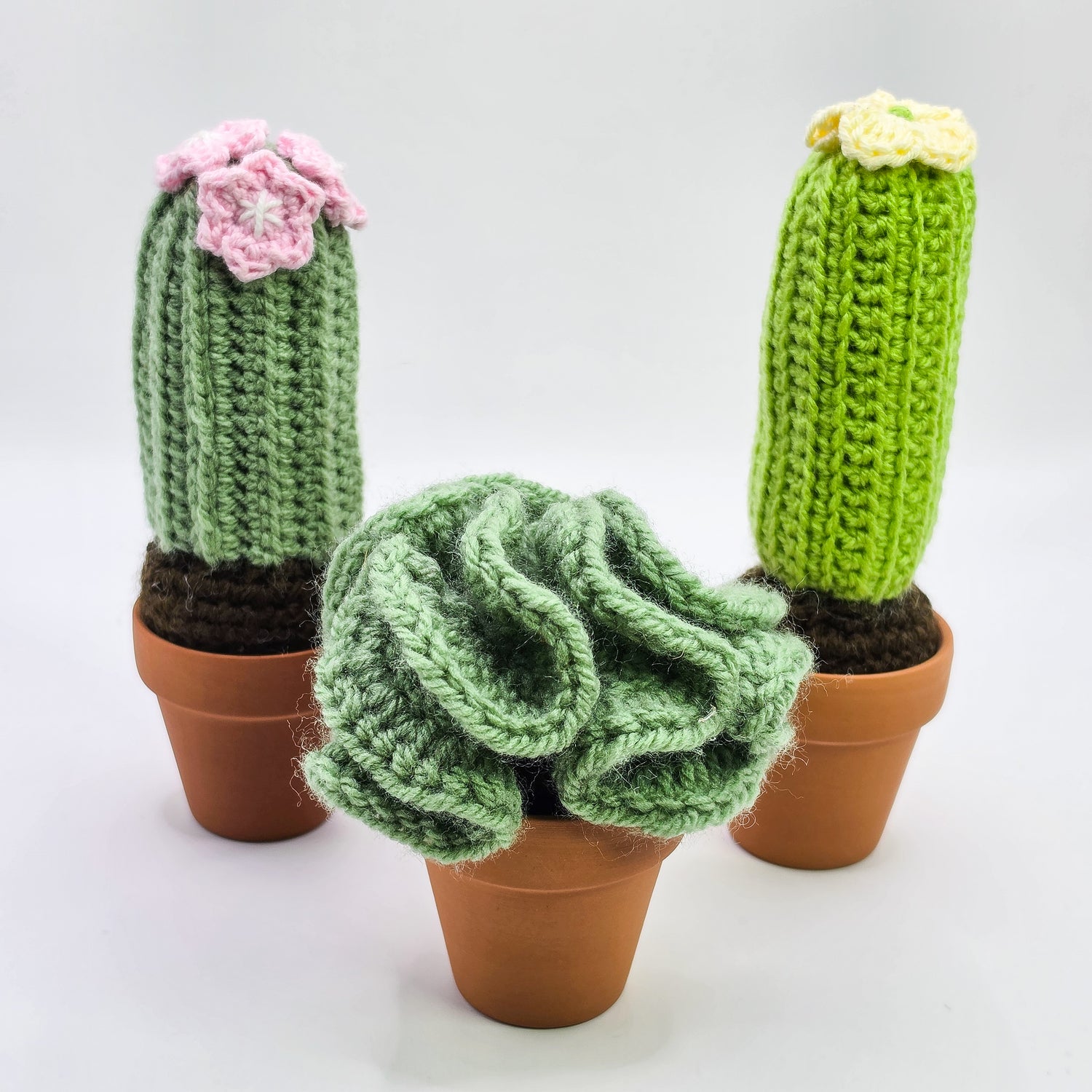 *NEW*Mini Crochet Cactus / Succulent With Real Terracotta Pot | 3 to choose from