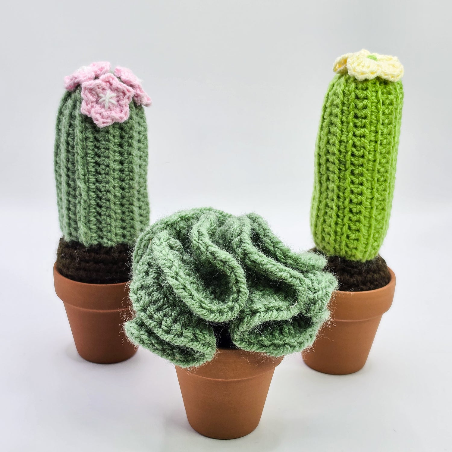 *NEW*Mini Crochet Cactus / Succulent With Real Terracotta Pot | 3 to choose from