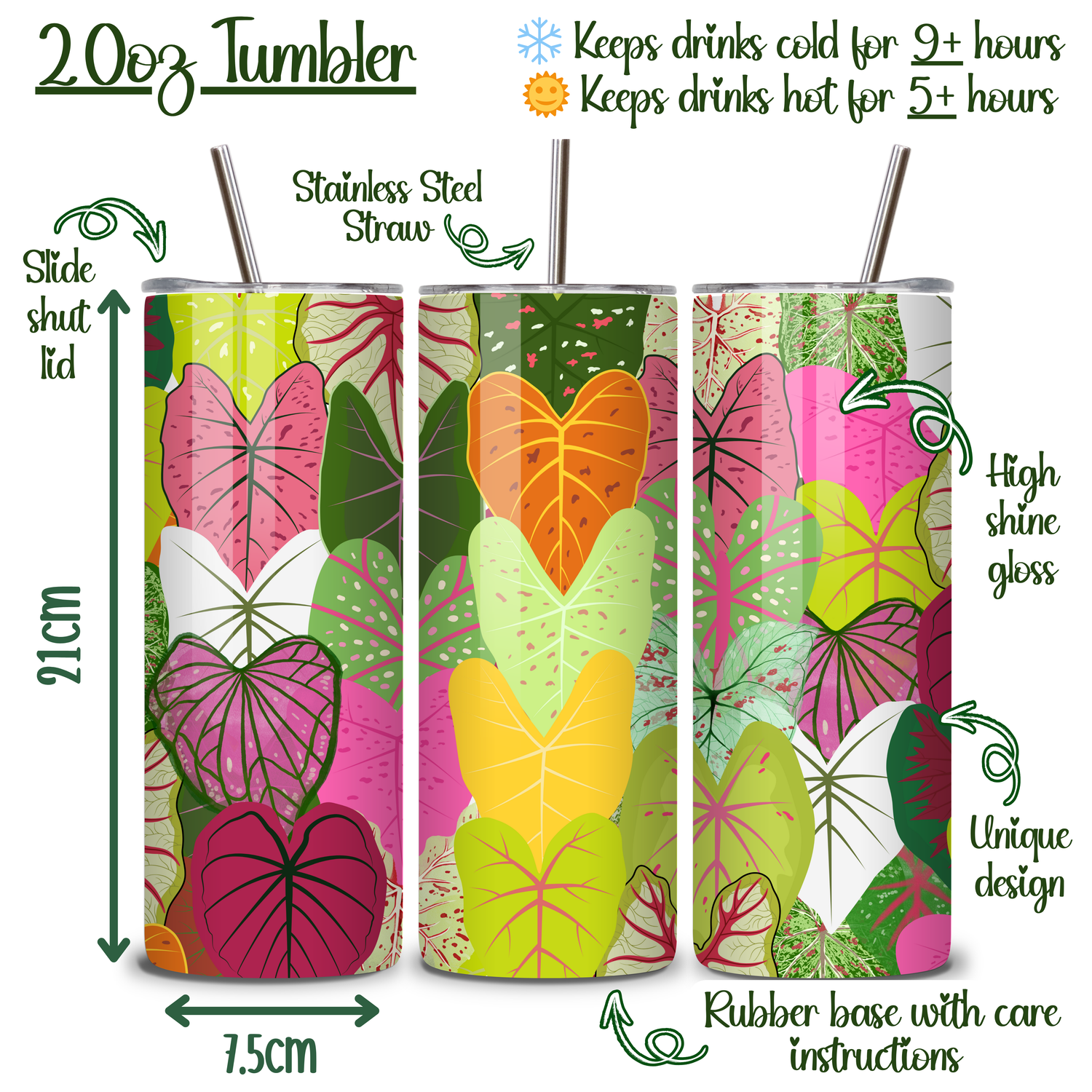 12oz/20oz Colourful Caladium Insulated Stainless Steel Houseplant Tumbler