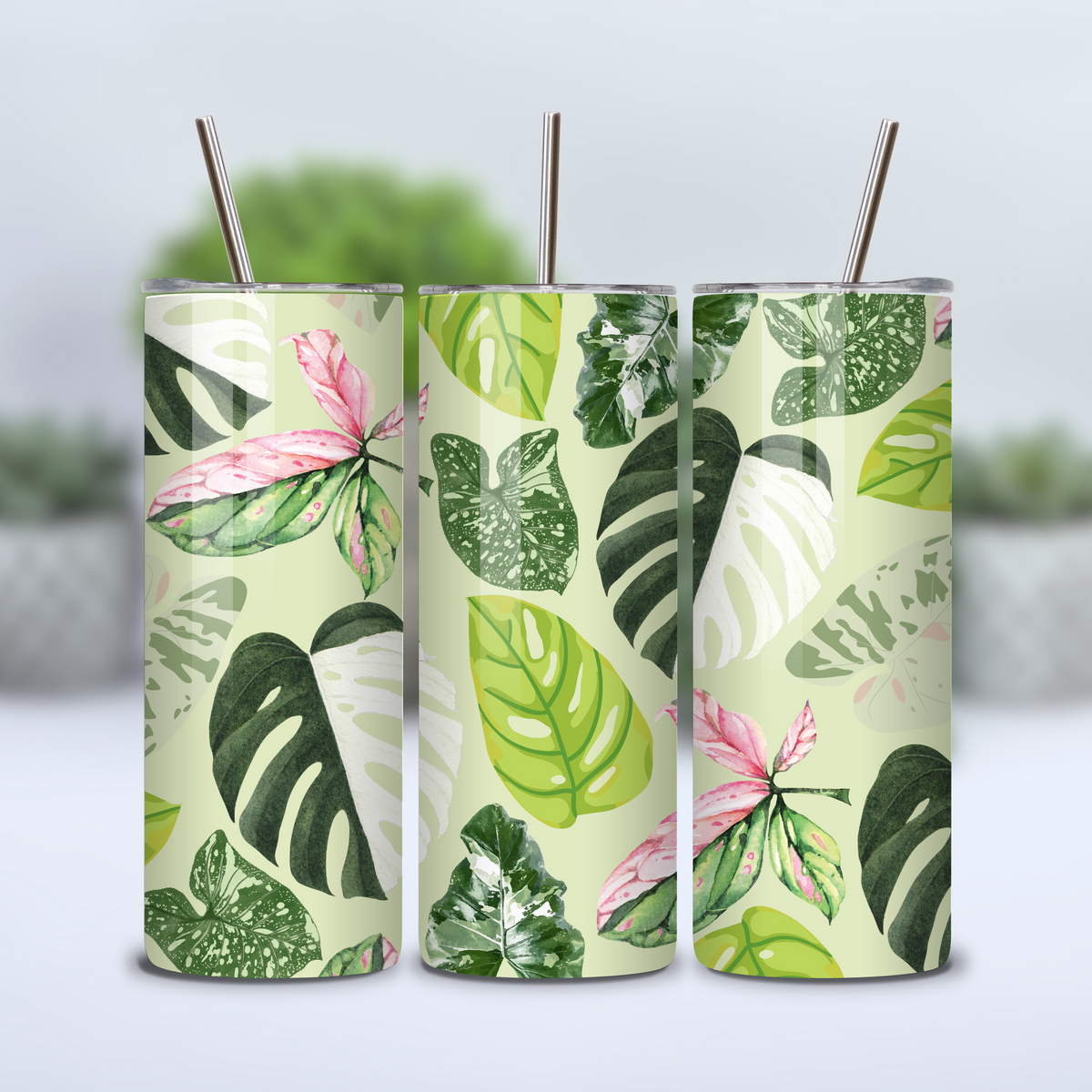 Rare Variegated Leaves Houseplant 12oz/20oz Insulated Stainless Steel Tumbler 