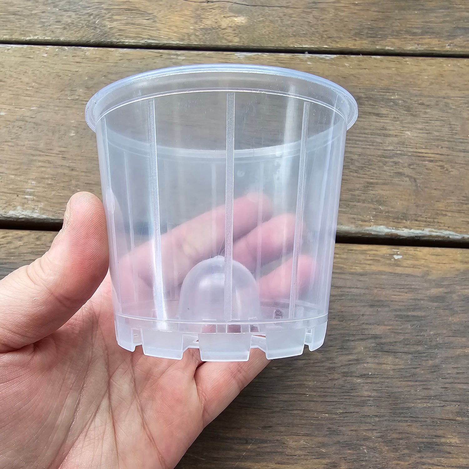 80mm Clear Plastic Dome Plant Pot