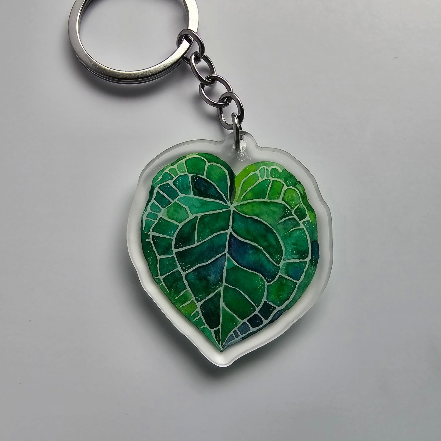 Watercolour Rare Houseplant Acrylic Keyrings