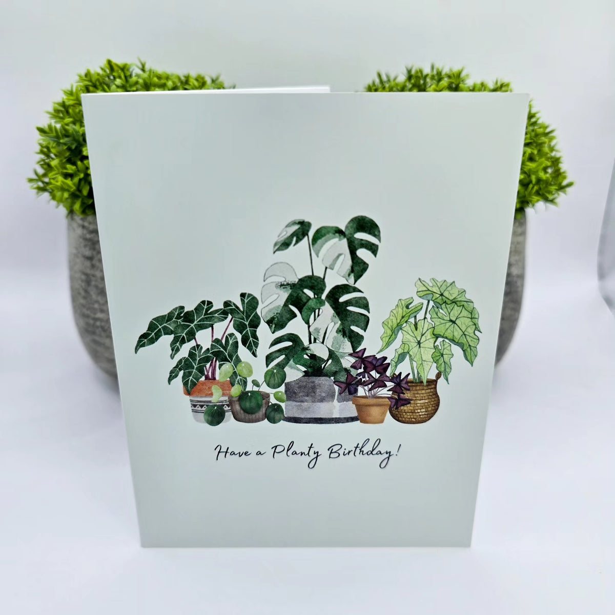 Have a planty birthday! Houseplants birthday greeting card