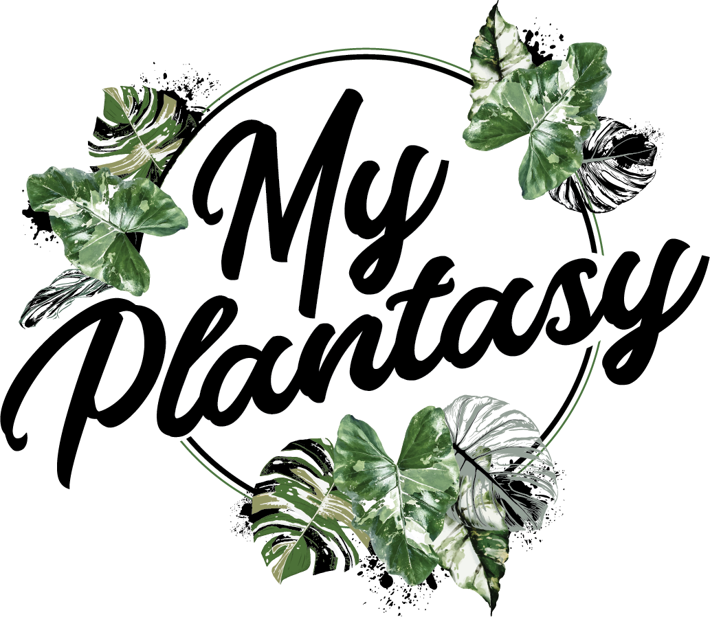 My Plantasy