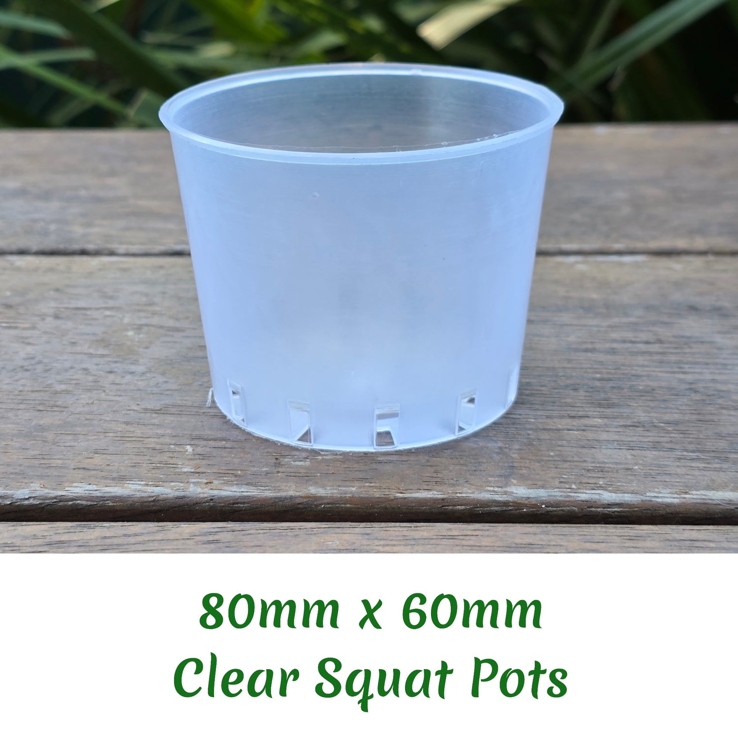 80mm clear plastic squat plant pot