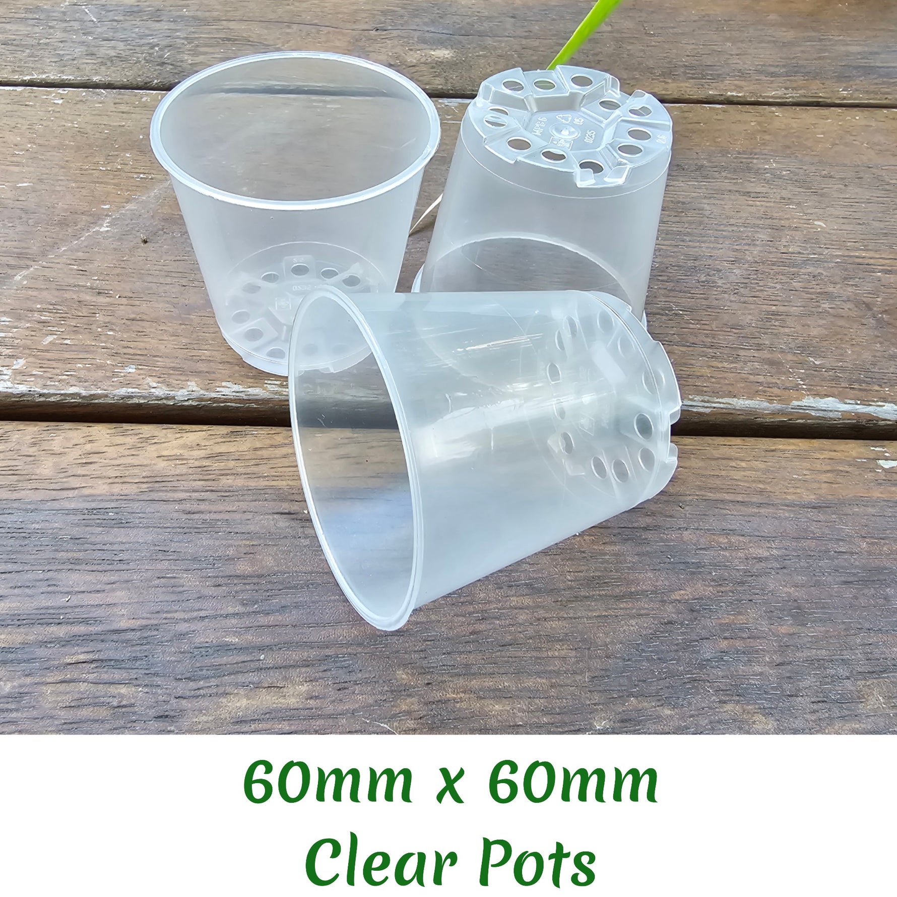 60mm clear plastic seedling plant pot 