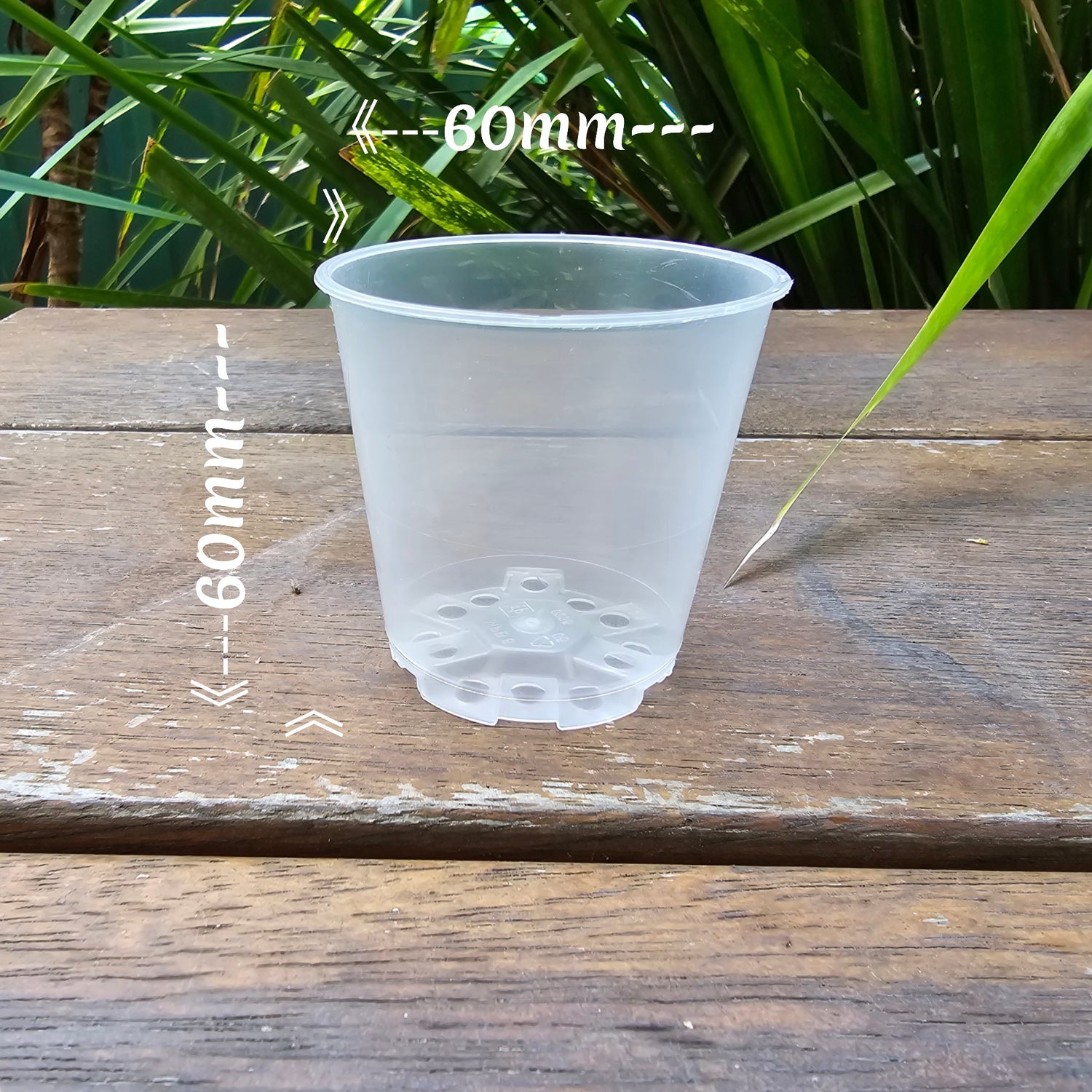 60mm Clear Plastic Seedling Plant Pot