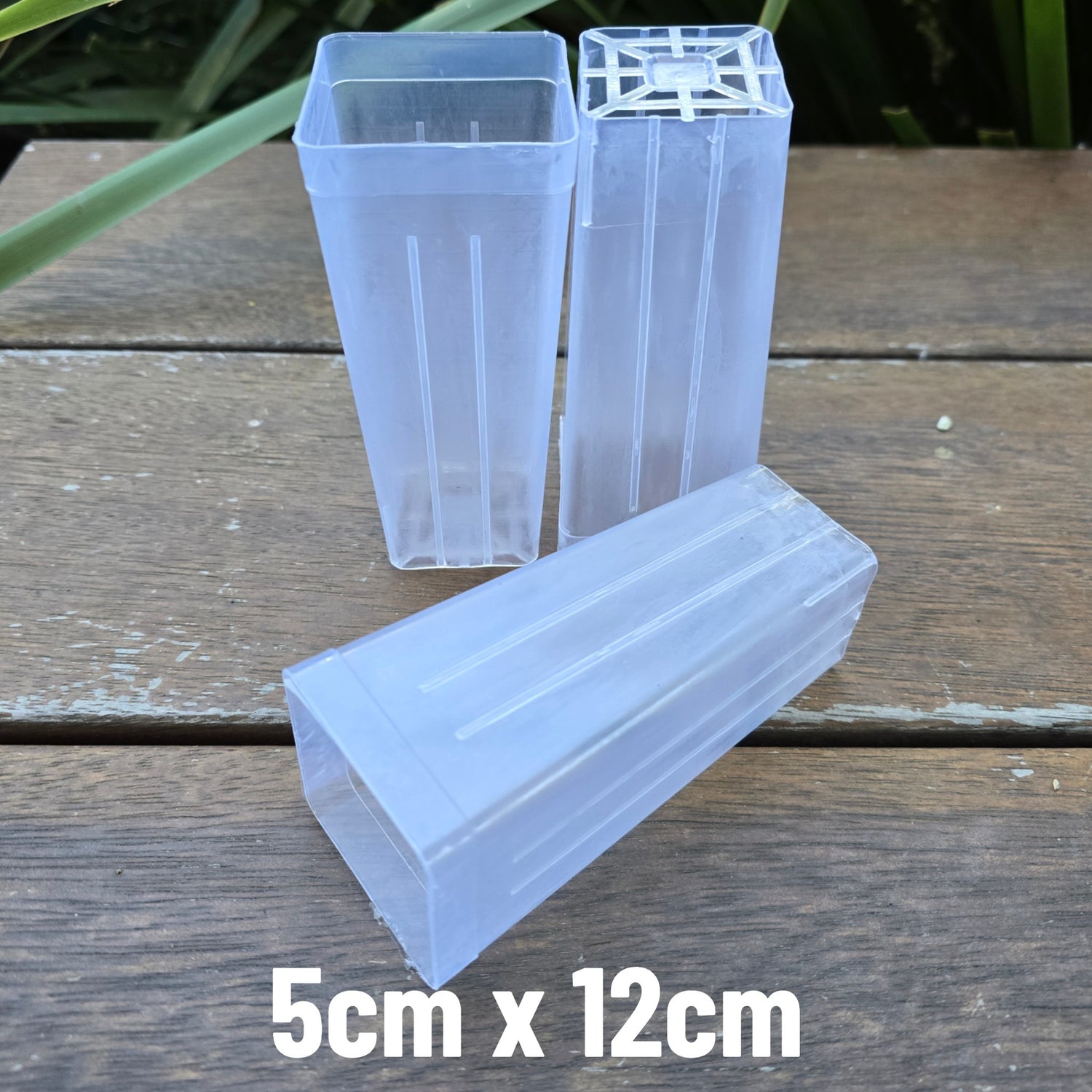 50mm Clear Plastic Tube Pot