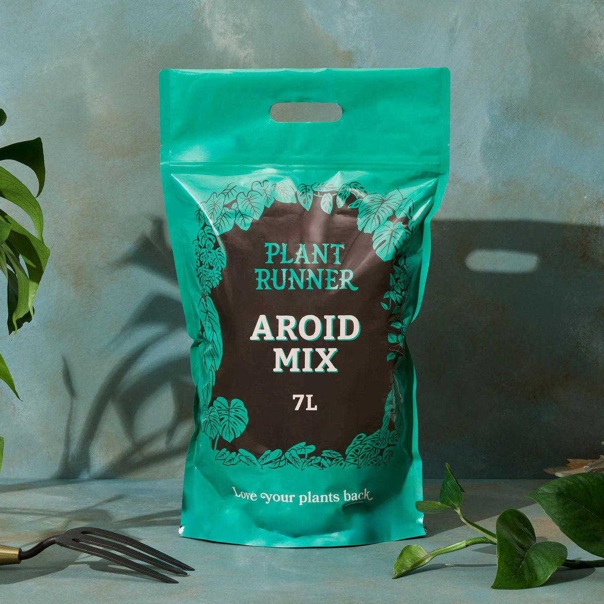 Bag of Plant Runner Aroid Mix on a table with plants in the background