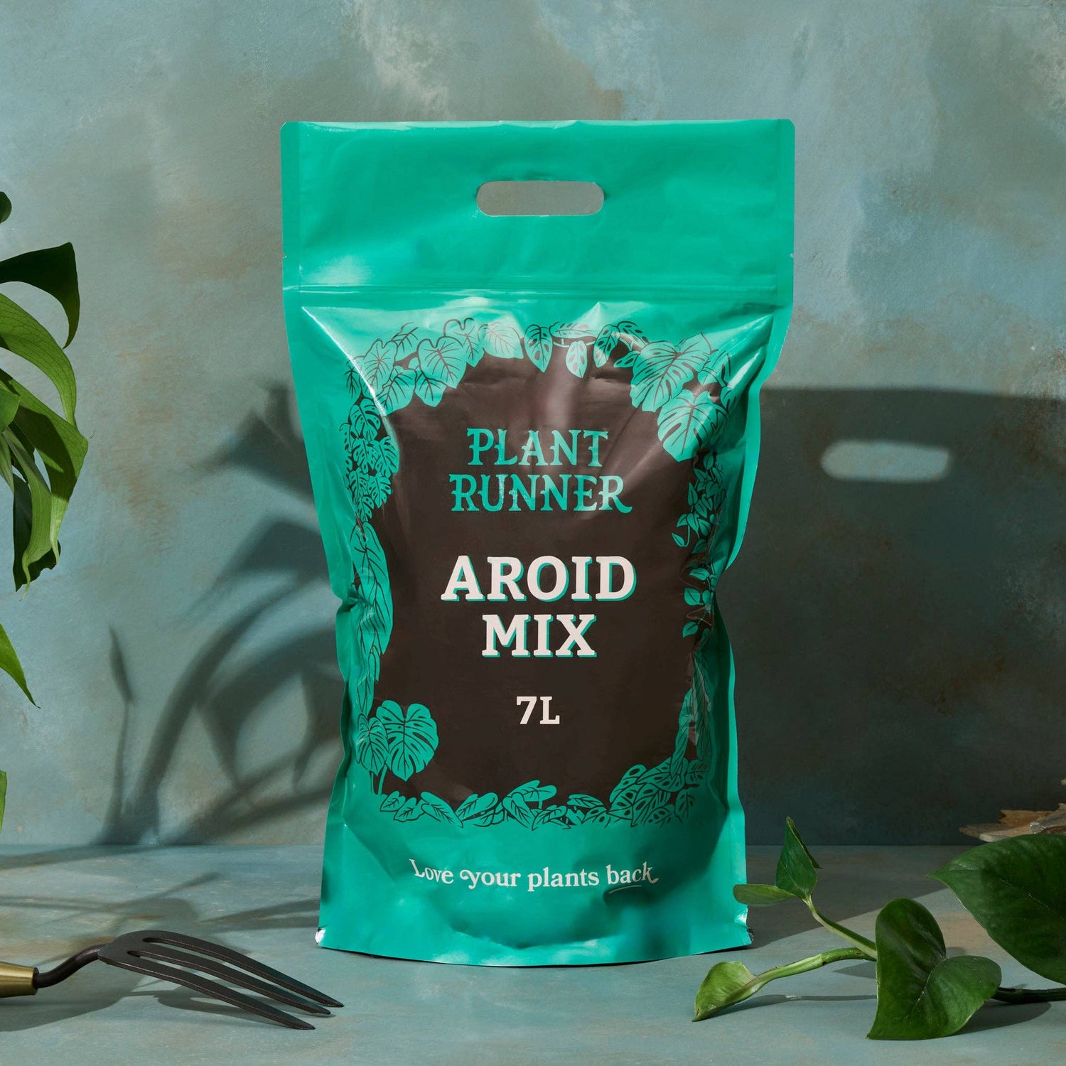 Bag of Plant Runner Aroid Mix on a table with plants in the background