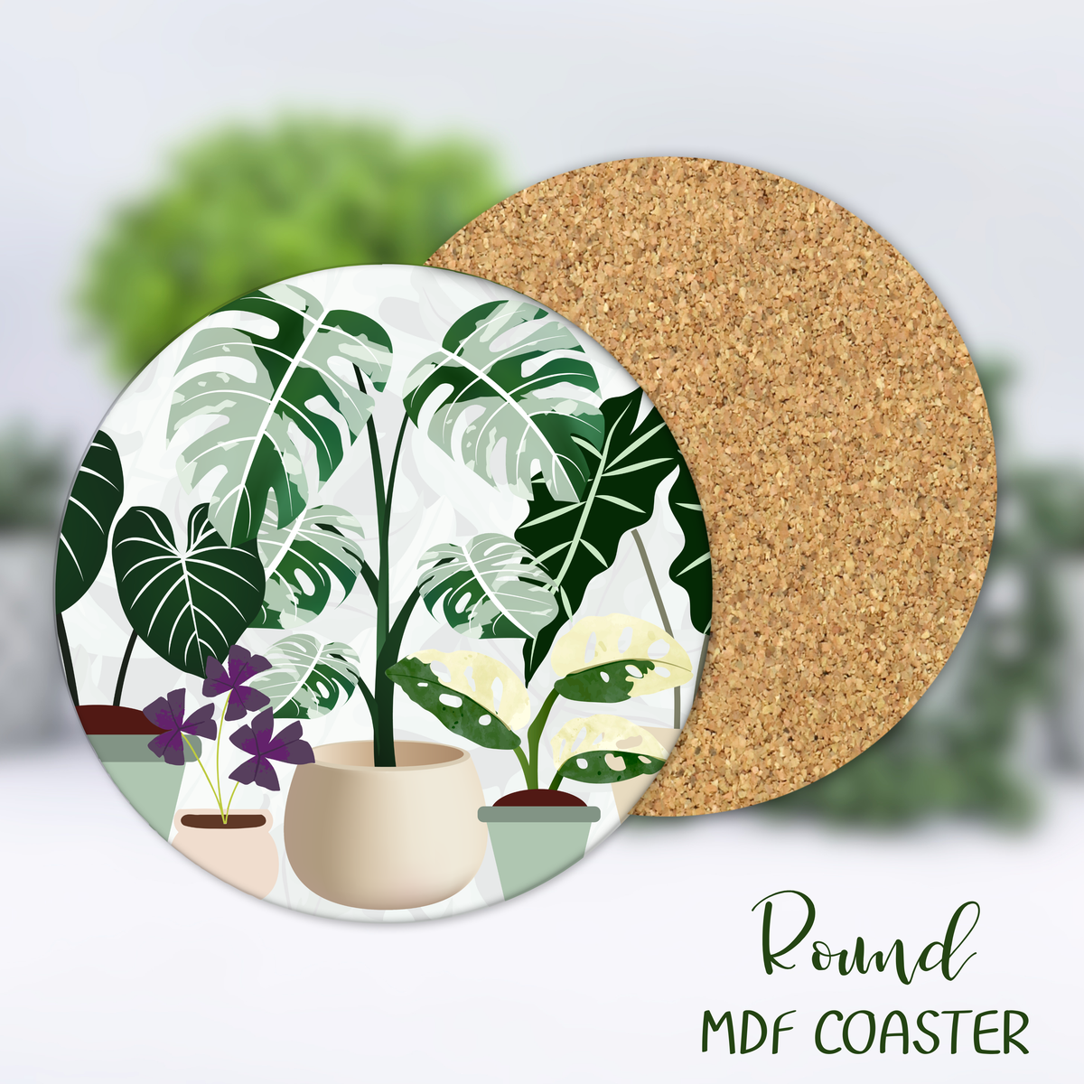 Rare Variegated plants Houseplant Square or Round MDF Coaster with cork back