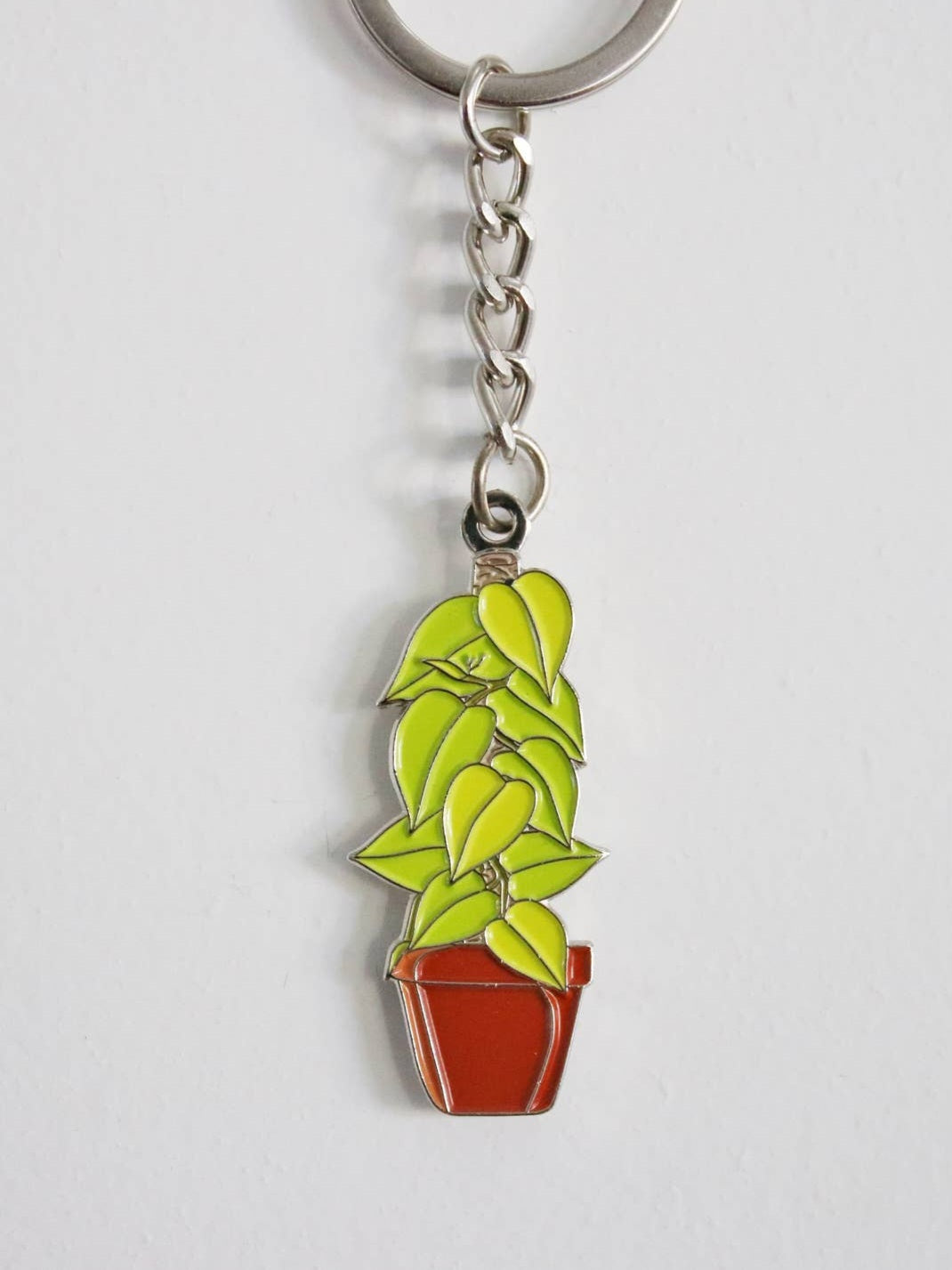 Pothos houseplant keyring