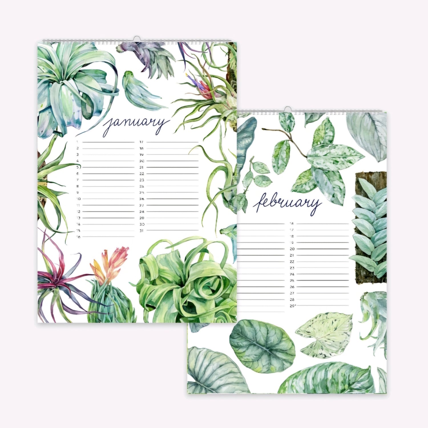 The Birthday Plant Calendar