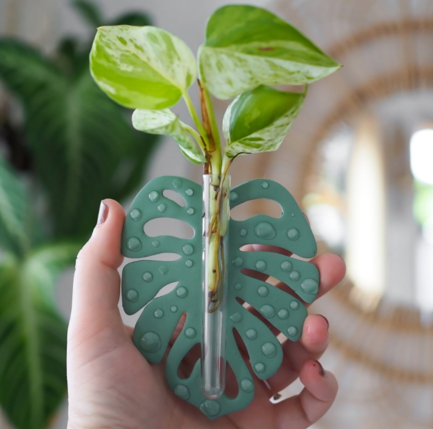 Monstera Polymer Clay Magnetic Fridge Propagation Vase