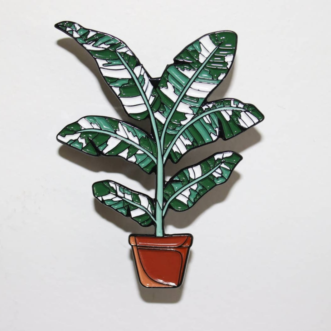 Variegated banana plant houseplant pin