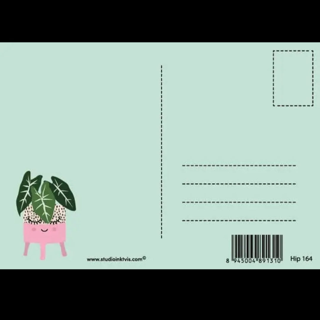 Potted Alocasia Frydek Houseplant Postcard