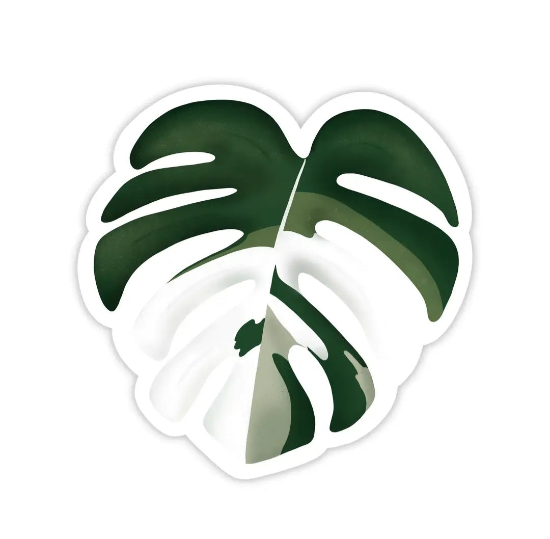 Monstera Albo Variegated Leaf Vinyl Sticker