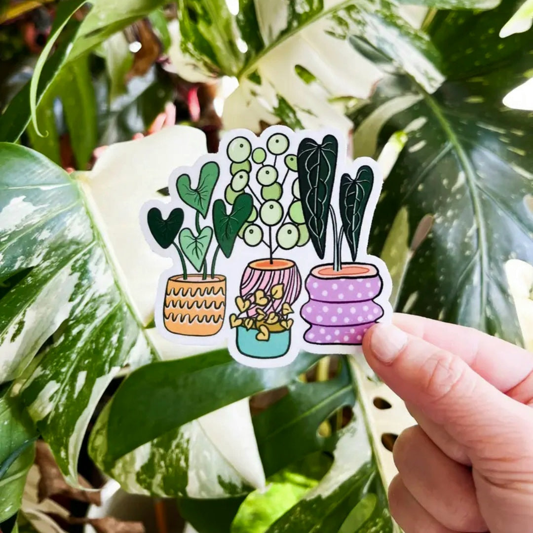 Potted Plants Sticker