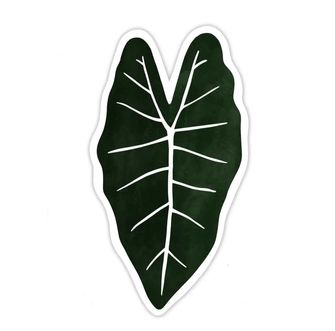 Alocasia Frydek Houseplant Leaf Sticker