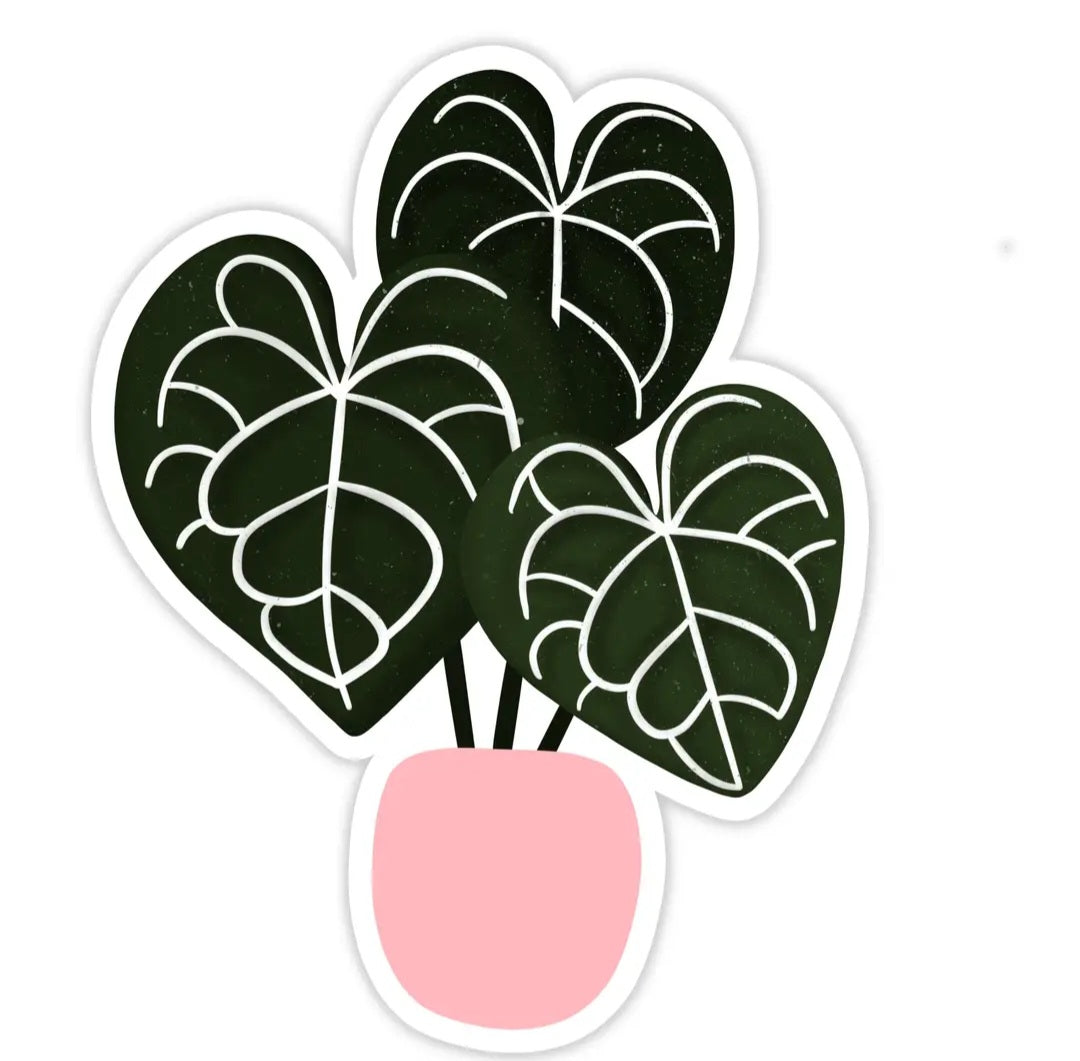 Anthurium Clarinervium Houseplant Vinyl Sticker