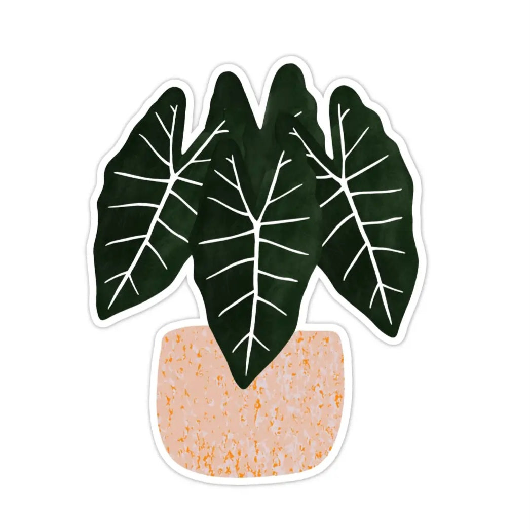 Alocasia Frydek Potted Plant Vinyl Sticker