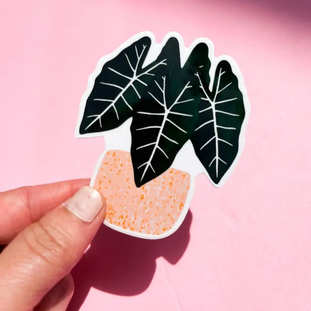 Alocasia Frydek Potted Plant Vinyl Sticker