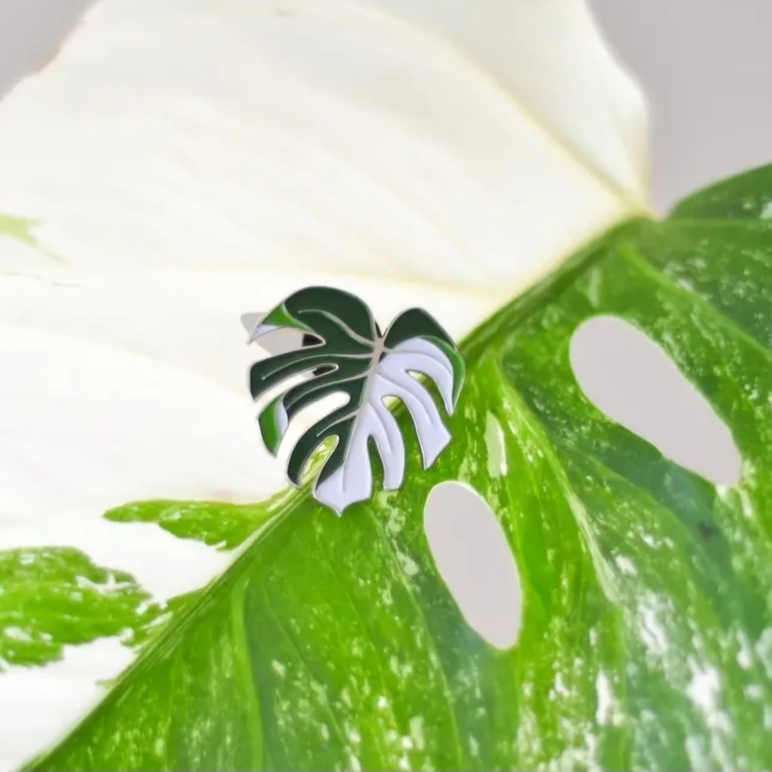 Monstera Albo Variegated Halfmoon Enamel Lapel Pin