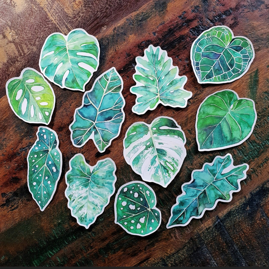 Watercolour Houseplant Leaf Stickers