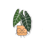 Alocasia Frydek Vinyl Houseplant Sticker by Home by Faith 